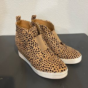 Ccocci booties size 8.5